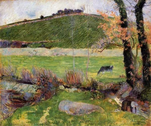 Un pré sur les rives de l
